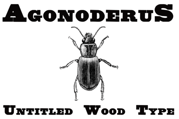 The Timeless Appeal of Untitled Wood Type